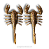 2 pieces of gold finishing scorpion wall hook set dark academia plant hanger with white background
