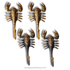2 sets of gold and antique brass scorpion wall hook set on white background