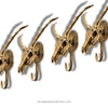 4 pieces of impala skeleton head with white background