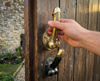 Brass penis wall hook and cabinet pull installed on wooden door, cheeky statement decor hardware for styled interiors