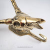 Brass antilope skull wall hook head close up with white background