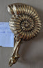 Brass ammonite fossil wall hook mounted on wall coastal nautical styling