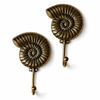 Multiple brass ammonite fossil wall hooks displayed together coastal decor