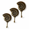 Brass ammonite fossil wall hook with handwritten size reference