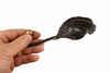 Side profile of antique brass seashell wall hook showing depth