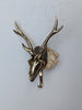 Gothic brass deer head wall hook for eclectic interiors