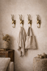 Brass impala wall hook set mounted on wall for towels and coats safari style decor