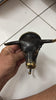 Brass bull head wall hook top view showing horn width and mounting backplate, heavy duty wall hook