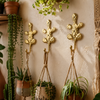 Brass cactus wall hooks used as plant hangers, displayed above trailing house plants for a handmade boho desert wall decor look.