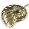 Close up of brass conch shell wall hook showing detailed shell texture and finish