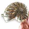 Front detail of brass conch shell hook with spiral shell design coastal wall decor