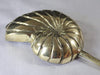 Profile view of brass conch shell wall hook highlighting hook depth and shape