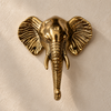 Brass elephant wall hook in gold finish, front view mounted on a cream wall with greenery nearby
