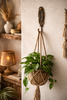 Brass feather wall hook styled with hanging planter in boho home decor