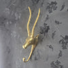 gold brass impala african animal wall hook
