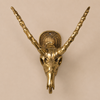 Front view close-up of solid brass impala skull wall hook showing detailed hand-cast sculpted skull face hollow eye sockets and horn bases — gothic african animal wall hook handmade in Bali