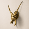 Solid brass impala skull wall hook on a clean neutral background showing full frontal view of sweeping curved horns skull face and single hook — african animal wall hook handmade in Ubud Bali