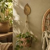 Brass leaf wall hook holding a hanging plant on a sunlit wall, boho botanical decor for a plant-filled room.