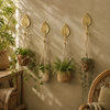 Brass leaf wall hooks holding hanging plants on a sunlit wall, nature-inspired botanical decor idea