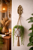 Brass leaf wall hook styled with hanging planter in boho nature-inspired home decor