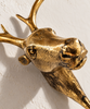 Close-up of the brass moose head showing the hand-cast detail of the muzzle, eyes and textured fur where the antlers begin. A handmade brass wall sculpture and brass wall hook in polished gold, from Ubud, Bali.