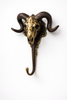 Single brass ram skull wall hook front view on white background, gothic wall decor hook for coats, keys, towels