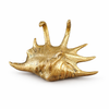 Back view brass sea shell wall hook showing mounting holes installation hardware