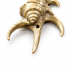 Bottom view brass sea shell wall hook showing shape and hook placement decorative hardware