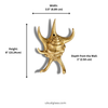 Brass sea shell hook dimensions variant one size width height depth in inches and cm