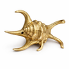 Brass sea shell wall hook variant two side profile coastal nautical decor