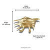 Brass sea shell wall hook dimensions size width height depth in inches and centimeters
