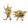 Brass sea shell wall hook set coastal nautical decor bathroom towel hooks beach house brass shell hooks