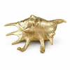 Brass sea shell wall hook wide design double hook coastal nautical decor gold wall hook