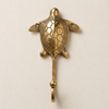 Single brass sea turtle wall hook on a gray background, showing the detailed shell design from the set of 4 coastal hooks.