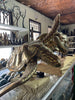 Brass sea turtle sculpture perspective view in workshop for size and craftsmanship reference