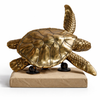 Handmade brass sea turtle sculpture with display stand for statement coastal home decor
