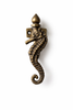Dimensions of brass seahorse wall hook in inches and centimeters for bathroom wall or towel hook