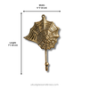 Size chart for brass seashell wall hook showing width 5 inches 13 cm and length 7 inches 18 cm, spiral web shell design coastal decor