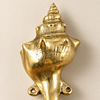 Close up of brass shell spiral hook in a polished gold finish showing spiral shell texture