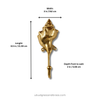 Size chart for brass shell spiral hook showing width 3 inches 7.62 cm, length 8.5 inches 21.59 cm, and depth front to wall 2 inches 5.08 cm