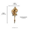 Dimensions of brass spiral shell wall hook in inches and cm nautical decor