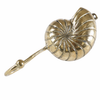 Brass spiral seashell wall hook ocean inspired coastal decor beach house