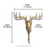 Gold deer head wall decoration with measurements on a white background