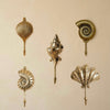 Coastal brass seashell wall hooks set arranged on wall nautical beach house decor