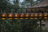 Hand carved Bali coconut shell string light covers hanging in the garden