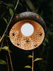 Set of coconut shell string lights hanging in tropical garden for ambient outdoor lighting