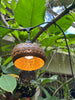 fishscale pattern on coconut shell light shade covers hanging in a tropical garden
