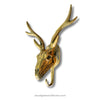 Gold deer skull wall hook on a white background