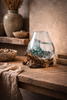 driftwood glass bowl decor molten glass on wood natural home styling