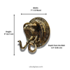 Dimensions of solid brass eagle snake wall hook showing measurements in inches and cm, antique brass double hook size reference, gothic decor wall hardware, dark academia animal wall hook for towel or coat